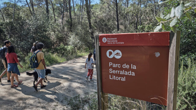 noticia_1782220733.jpg