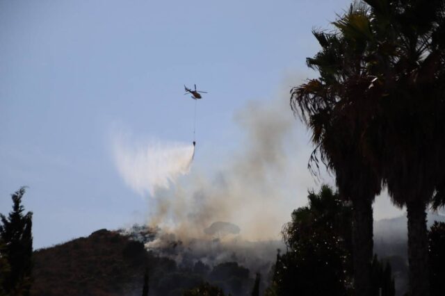 Incendi a Collserola. Foto: Blanca Blay /ACN