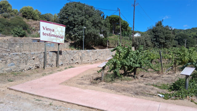 noticia_1789565465.jpg