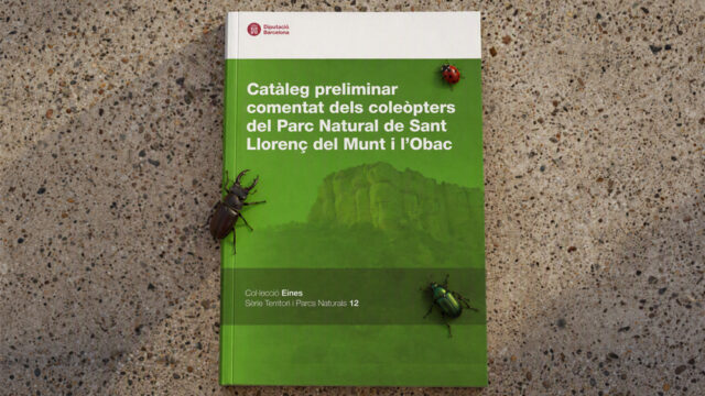 noticia_1793110721.jpg